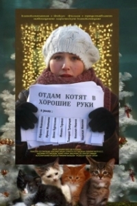 Постер Отдам котят в хорошие руки (Otdam kotyat v khoroshie ruki)