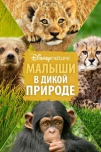 Постер Малыши в дикой природе (Growing Up Wild)