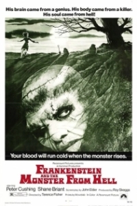 Постер Франкенштейн и монстр из ада (Frankenstein and the Monster from Hell)