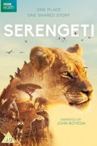Постер Серенгети (Serengeti)