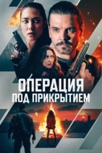 Постер Фейерверк (Firecracker)
