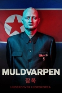 Постер Крот: Под прикрытием в Северной Корее (The Mole: Undercover in North Korea)