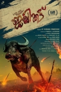 Постер Джалликатту (Jallikattu)