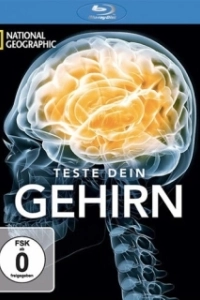 Постер Испытайте свой мозг (Test Your Brain)