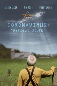 Постер Коронавирус: Идеальный шторм (Coronavirus: Perfect Storm)