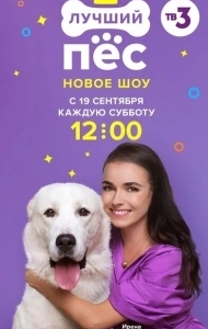 Постер Лучший пёс 