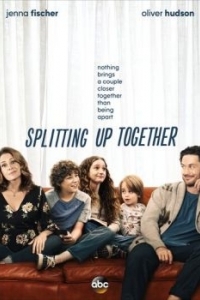 Постер Разделенные вместе (Splitting Up Together)