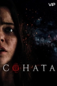 Постер Соната (The Sonata)
