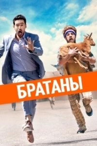 Постер Сводные братья (Step Brothers)