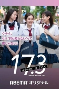 Постер 17.3 о сексе (17.3 about a sex)