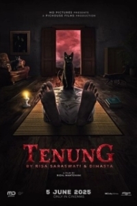 Постер Заклятие (Tenung)