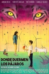 Постер Там, где спят птицы (Donde duermen los pájaros)