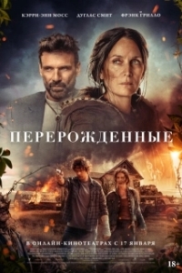 Постер Спящая (Die Alone)