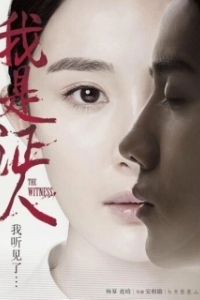 Постер Свидетель (Wo shi zheng ren)