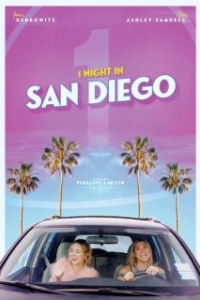 Постер Одна ночь в Сан-Диего (1 Night in San Diego)