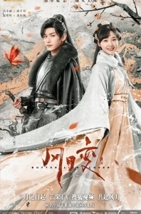 Постер Любовь бабочки (Feng Yue Bian)