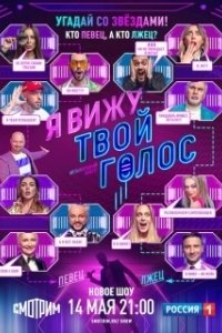 Постер Я вижу твой голос 