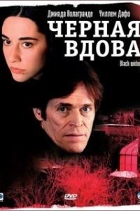 Постер Черная вдова (Before It Had A Name)