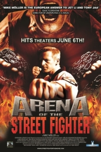 Постер Уличный боец (Arena of the Street Fighter)