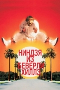 Постер Ниндзя из Беверли Хиллз (Beverly Hills Ninja)