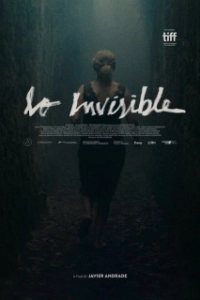 Постер Невидимая (Lo invisible)