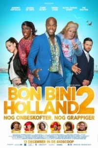 Постер Путешествие по Нидерландам 2 (Bon Bini Holland 2)