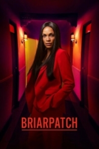 Постер Тернистый Путь (Briarpatch)
