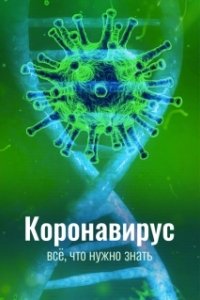 Постер Коронавирус. Все, что нужно знать 