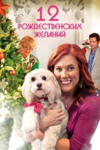 Постер 12 Рождественских желаний (The Twelve Wishes of Christmas)