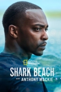 Постер Акулий пляж с Энтони Маки: Мексиканский залив (Shark Beach with Anthony Mackie. Gulf Coast)