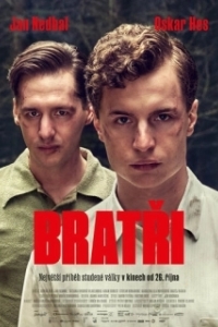 Постер Братья (Bratri)