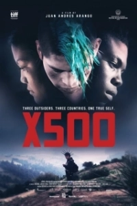 Постер X500 