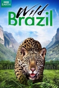 Постер Дикая Бразилия (Wild Brazil)