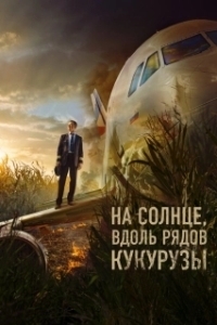 Постер На солнце, вдоль рядов кукурузы 