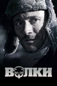 Постер Волки 