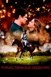 Постер Рождественское обещание (The Mistletoe Promise)
