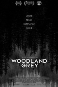 Постер Серый лес (Woodland Grey)