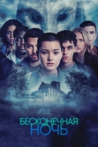 Постер Бесконечная ночь (Endless Night)