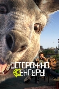 Постер Осторожно, Кенгуру! (Die Känguru-Chroniken)