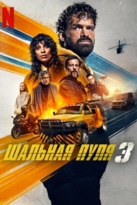 Постер Шальная пуля 3 (Balle perdue 3)