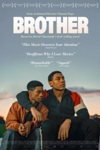 Постер Брат (Brother)