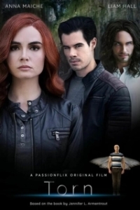 Постер Разорванный: Злая трилогия (Torn: A Wicked Trilogy)