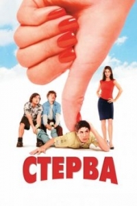 Постер Стерва (Saving Silverman)