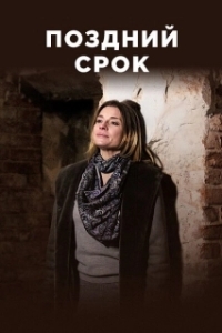Постер Поздний срок 