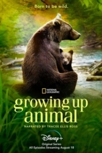 Постер Взрослеющее животное (Growing Up Animal)