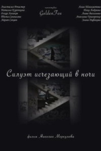 Постер Силуэт, исчезающий в ночи 