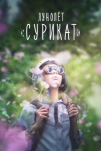 Постер Лунолет Сурикат (Meerkat Maantuig)