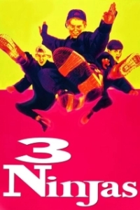 Постер Три ниндзя (3 Ninjas)