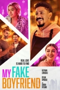 Постер Мой вымышленный парень (My Fake Boyfriend)