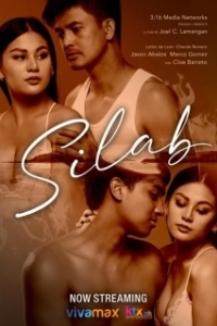 Постер Лунная бабочка (Silab)